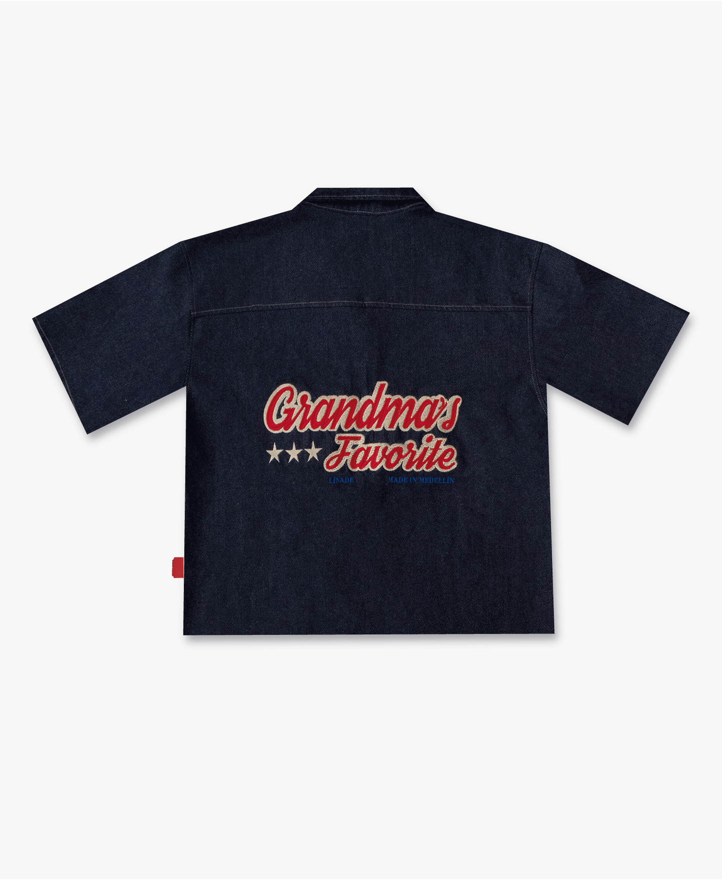 CAMISA GRANDMA'S FAVORITE / RAW DENIM